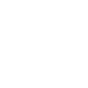 BM Signature-Logo