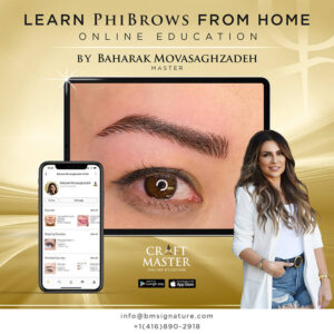 Phibrows Course Online Training by Baharak